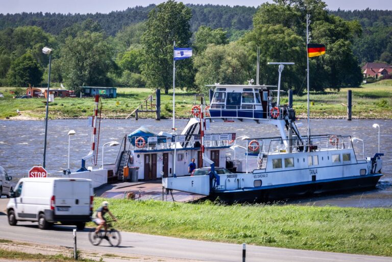 «Tanja» ist nach Angaben des Betriebsleiters Andreas Dau inzwischen 65 Jahre alt. (Archivbild) Foto: Jens Büttner/dpa