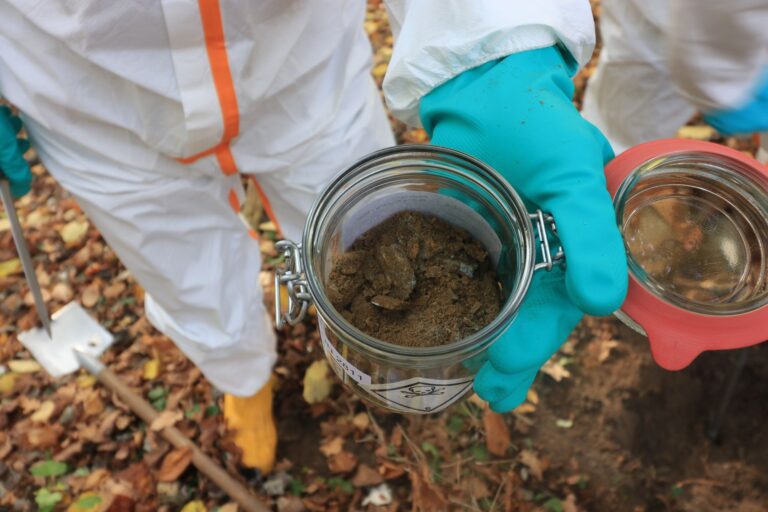 Sieben Jahre, nachdem im Hamburger Osten mit Giftstoffe verseuchter Boden entdeckt wurde, starten nun bald die Sanierungsarbeiten. (Archivfoto) Foto: Maximilian Bube/Behörde für Umwelt und Energie/dpa