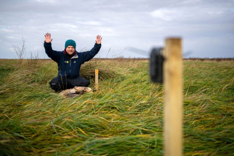 Benedikt Wiggering testet eine Wildtierkamera, die andere Tiere an einem toten, ausgelegten Reh in den Salzwiesen dokumentieren soll. Foto: Sina Schuldt/dpa