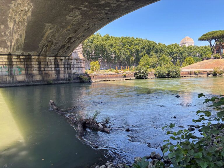 Wer will hier ins Wasser? Das Schwimmen im Tiber soll künftig wieder möglich sein. Foto: Robert Messer/dpa