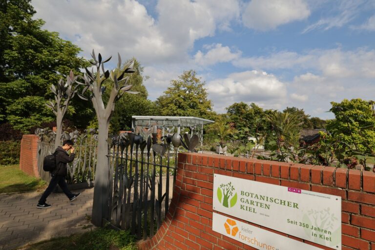 Aufgrund seiner Größe können die Mitarbeiter in Kiel nicht immer den gesamten Botanischen Garten überwachen. (Archivbild) Foto: Ulrich Perrey/dpa