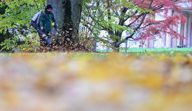 Im Herbst sind die Laubbläser vielerorts zu hören. (Archivbild) Foto: Bernd Weißbrod/dpa