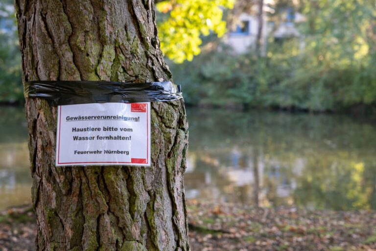 Am Langwassersee in Nürnberg gab es ein rätselhaftes Fischsterben. Foto: Daniel Karmann/dpa