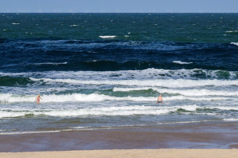 Nicht nur die Durchschnittstemperaturen von Nord- und Ostsee nehmen zu, auch marine Hitzewellen kommen häufiger vor. (Symbolbild) Foto: Frank Molter/dpa