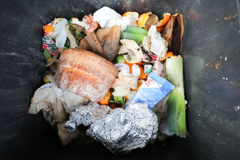 Plastik im Biomüll: Diese Tonne zeigt, wie falsche Trennung aussieht. (Symbolbild) Foto: Jan Woitas/dpa-Zentralbild/dpa