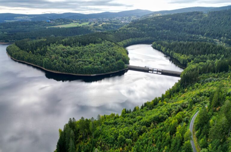 Vor allem im Erzgebirge gibt es viel Wald, so wie hier an der Talsperre Eibenstock. Foto: Hendrik Schmidt/dpa