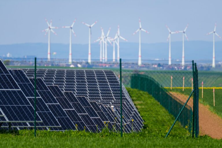 Solarpark und Windräder im rheinland-pfälzischen Wahlheim: Der WWF sieht bei der Energiewende im Land Nachholbedarf (Archivbild) Foto: Andreas Arnold/dpa