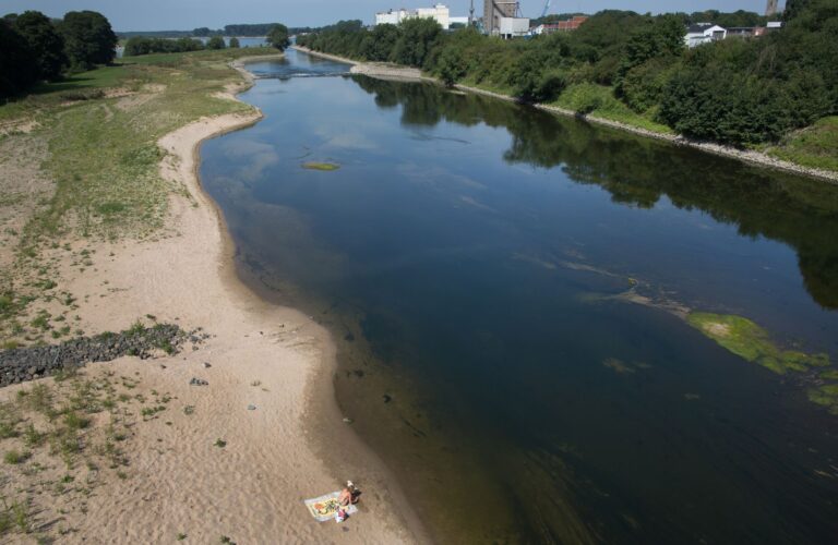 Eine naturnahe Auen-Landschaft und ein verlässlicher Hochwasserschutz sollen an der Lippe entstehen. (Archivbild) Foto: picture alliance / dpa