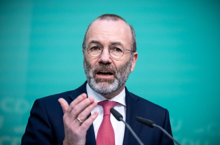 EVP-Chef Manfred Weber: «Es ist wichtig, dass wir Jobs in der Autoindustrie sichern und die Arbeiter für uns gewinnen.» Foto: Michael Kappeler/dpa