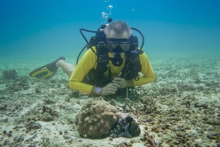 Hannes Jaenicke beim Tauchen in Indonesien mit einer Großen Blauen Krake (Day Octopus) im Vordergrund. Foto: Markus Strobel/Tango Film Gmbh/ZDF/dpa
