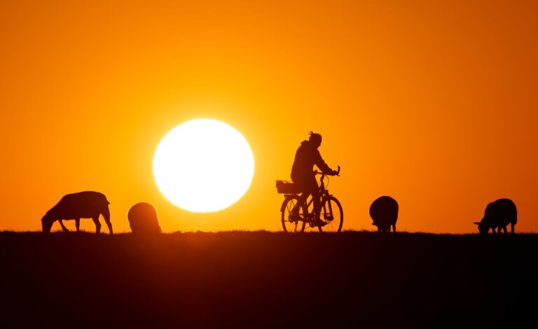 Laut WWF-Ranking sind die Radwege in Schleswig-Holstein gut ausgebaut (Symbolbild). Foto: Daniel Reinhardt/dpa