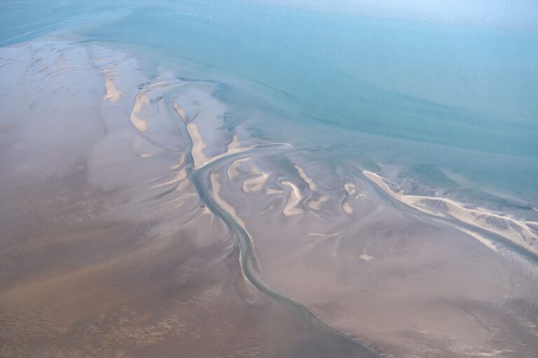Hai-Experten haben in der Nordsee zwischen der ostfriesischen Insel Borkum und den westfriesischen Inseln in den Niederlanden ein Gebiet eingegrenzt, in dem sich regelmäßig neugeborene und junge Hundshaie aufhalten. (Archivbild) Foto: Sina Schuldt/dpa
