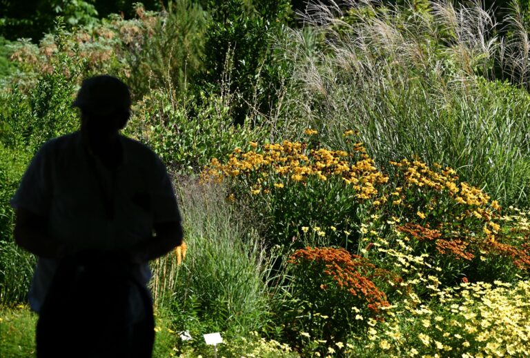 «Während der Pandemie haben wir eine größere Zahl an Diebstählen festgestellt», berichtet eine Sprecherin des Botanischen Gartens in Frankfurt. Foto: Arne Dedert/dpa