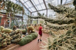 Aus dem Botanischen Garten in Kiel wurden zuletzt immer wieder Kakteen gestohlen. (Archivbild)