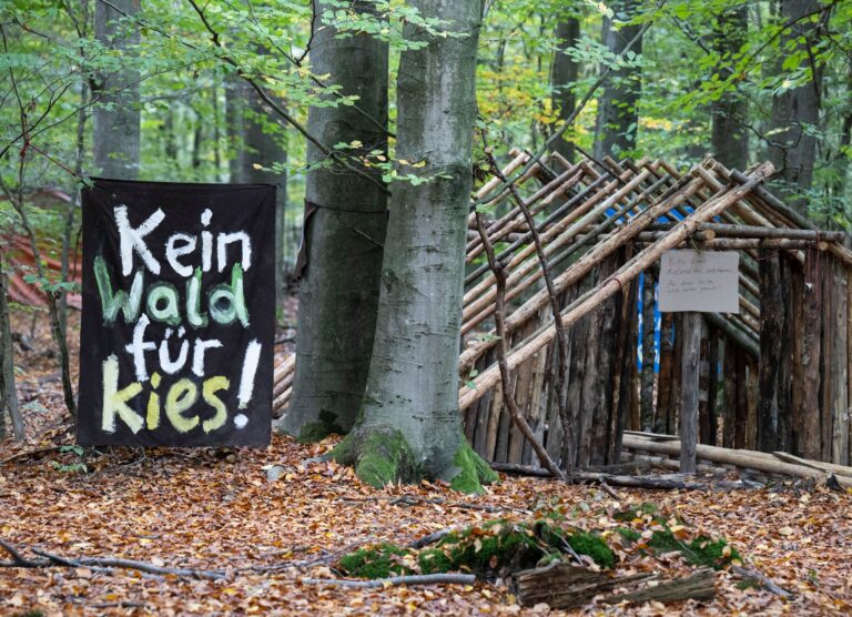 Die Aktivisten haben eine klare Forderung: sie wollen den Wald erhalten. Foto: Boris Roessler/dpa