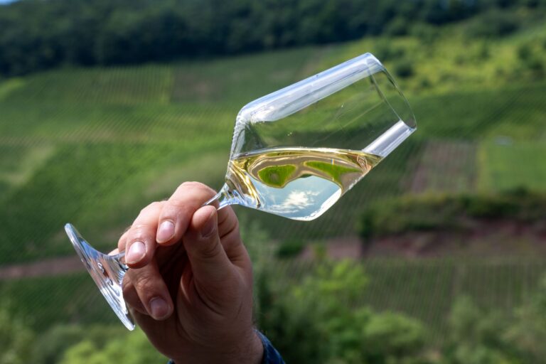 Leichte Weine aus Deutschland sind international gefragt. (Symbolbild) Foto: Harald Tittel/dpa