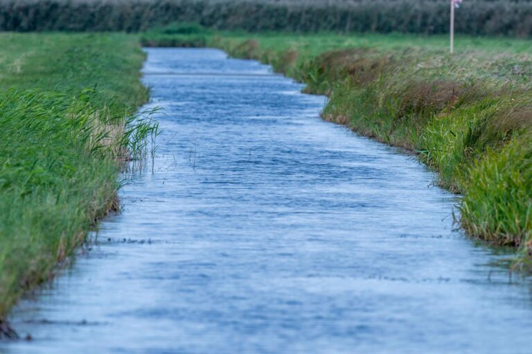 Südlich von Malchow soll in den nächsten 30 Jahren die zwölf Hektar große Wiese «Forstwisch», ein trockengelegtes Moor, wieder vernässt werden. (Symbolbild) Foto: Jens Büttner/dpa-Zentralbild/ZB