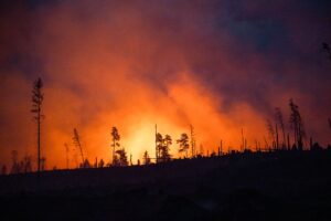 Waldbrände fachen mit ihren Emissionen die Erderwärmung zusätzlich an. (Illustraiton)