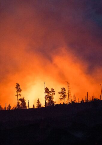Waldbrände fachen mit ihren Emissionen die Erderwärmung zusätzlich an. (Illustraiton) Foto: Daniel Vogl/dpa