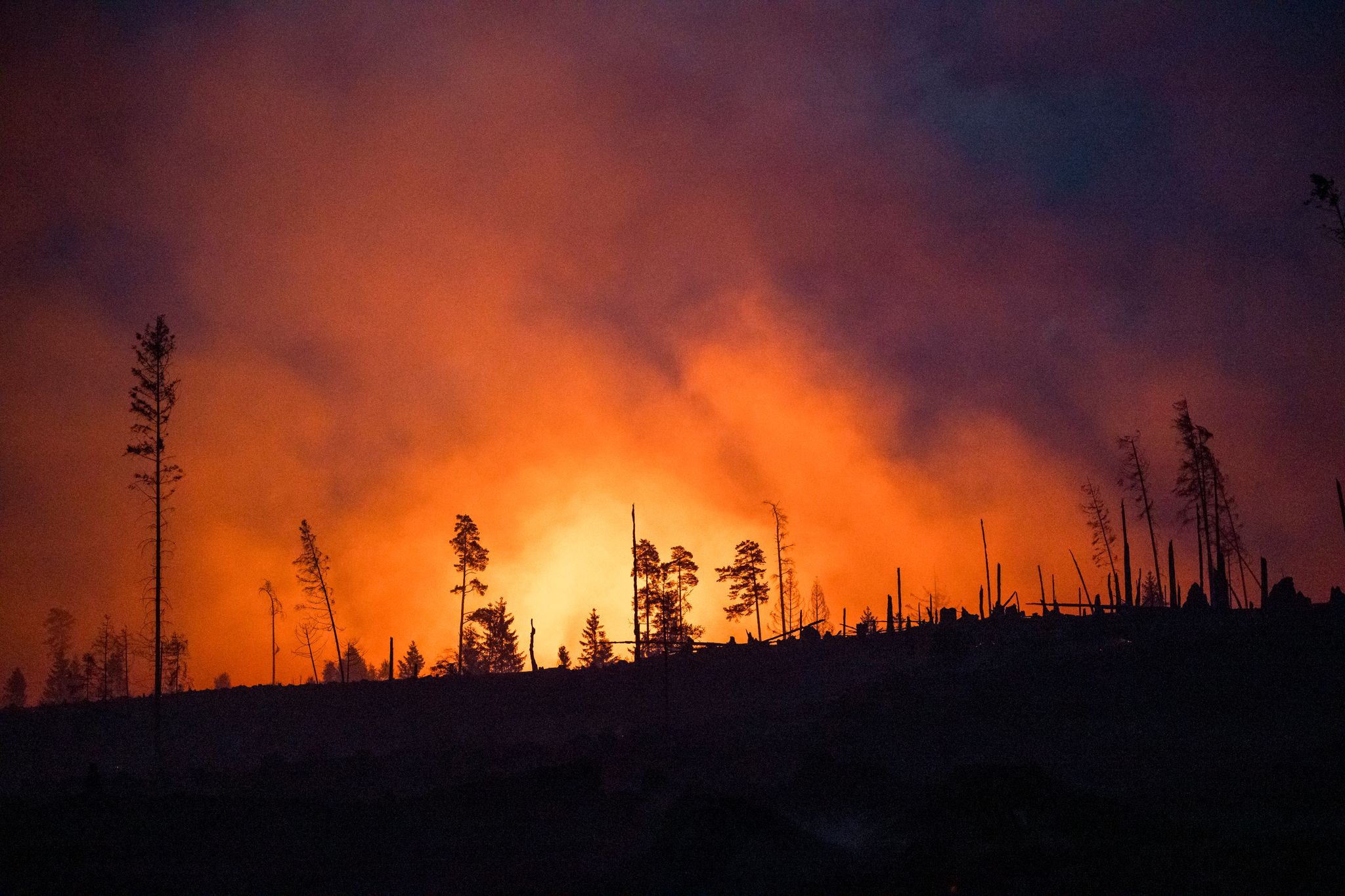Erde am Limit – Klimakrise kostet Millionen von Leben