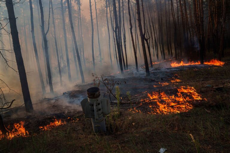 Waldbrände in der Ukraine, die viel Treibhausgase freisetzen, werden oft durch Gefechte ausgelöst. (Archivbild) Foto: Evgeniy Maloletka/AP/dpa