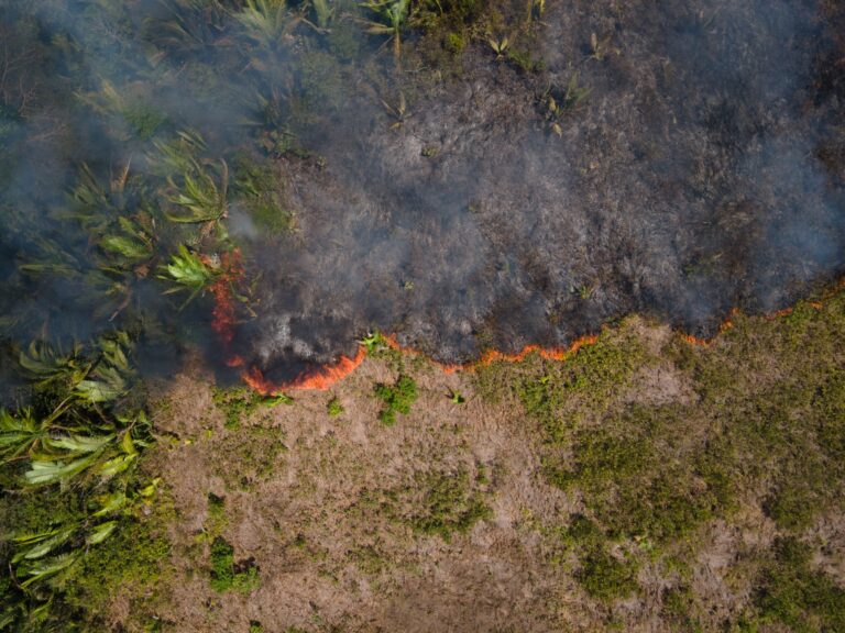 Flammen breiten sich in einem Amazonas-Gebiet aus. (Archivbild) Foto: Fernando Souza/ZUMA Press Wire/dpa
