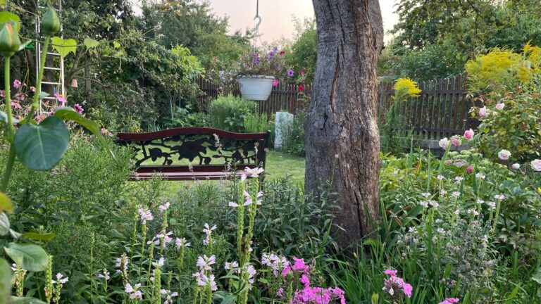 Sieger im Landeswettbewerb 2025 wurde die Kleingartenanlage «Bornholm I» in Prenzlauer Berg. Foto: Nicole Schuldt/Landesverband Berlin der Gartenfreunde e. V./dpa
