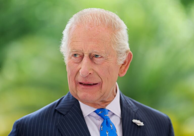 Eine Doku widmet sich dem Engagement von König Charles. (Archivbild) Foto: Chris Jackson/PA Wire/dpa