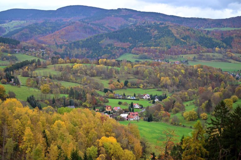 Thüringen Forst startet eine großangelegte Pflanzaktion: Bis zum Frühjahr sollen 1,6 Millionen neue Bäume in den Boden kommen. (Archivbild) Foto: Martin Schutt/dpa