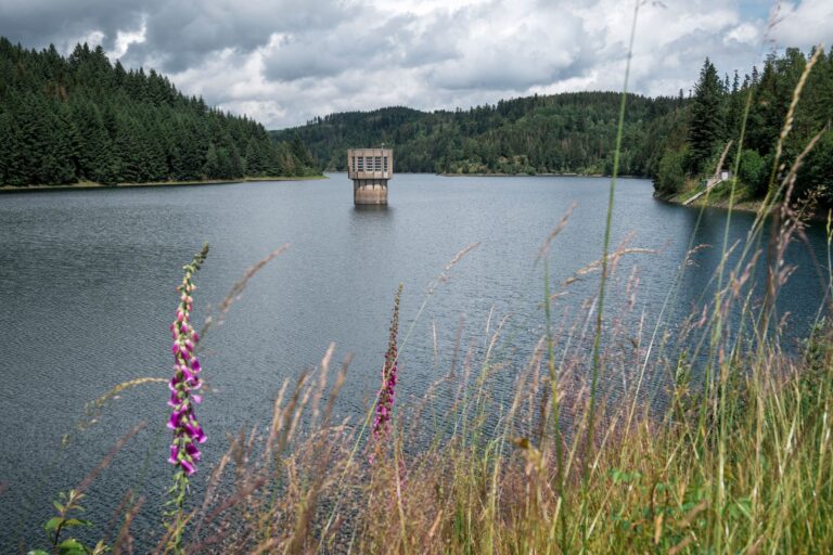 Bei den Plänen zur Stärkung der Fernwasserversorgung in Bayern rückt die Option einer dritten Talsperre, wie hier die Ködeltalsperre in Oberfranken, in den Fokus. (Archivbild) Foto: Daniel Vogl/dpa