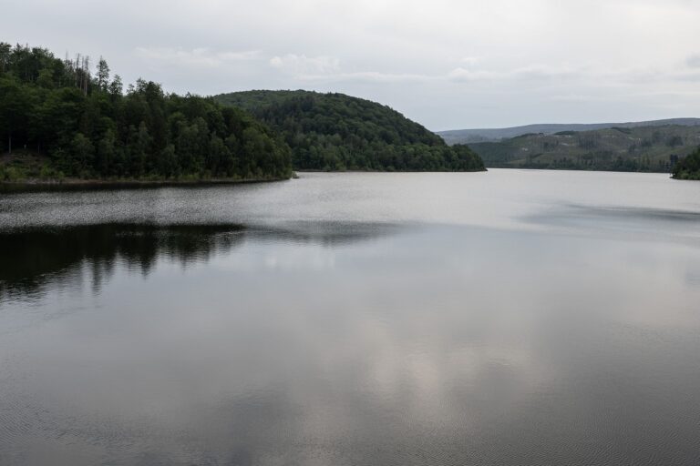 Von großen Staumengen sind die Talsperren im Harz derzeit weit entfernt. (Archivfoto) Foto: Swen Pförtner/dpa