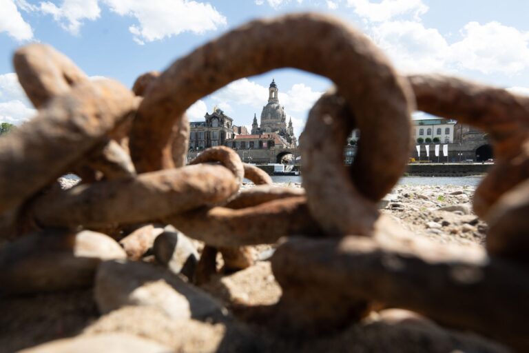 Sachsens Regierung erarbeitet eine Strategie zur Anpassung an den Klimawandel. (Archivbild) Foto: Sebastian Kahnert/dpa